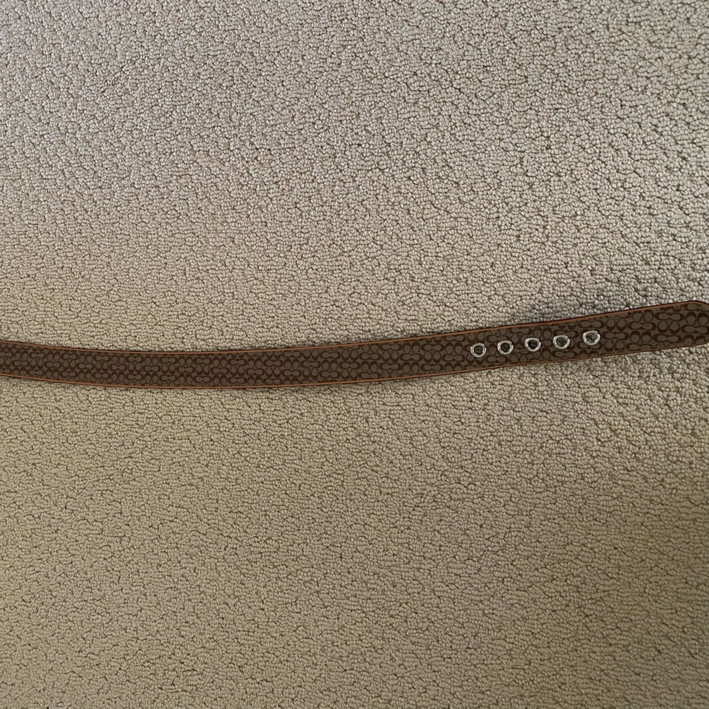 Women’s Coach Belt